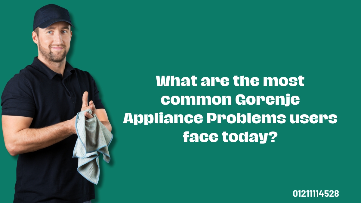 What are the most common Gorenje Appliance Problems users face today?
